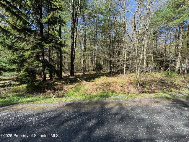 201 Sharon Ln, Thornhurst, PA 18424
