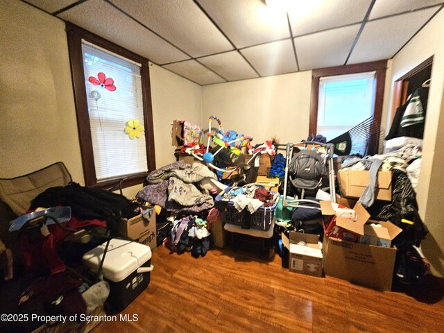 510 Moltke Ave, Scranton, PA 18505 - bedroom featuring wood finished floors, a drop ceiling, and multiple windows