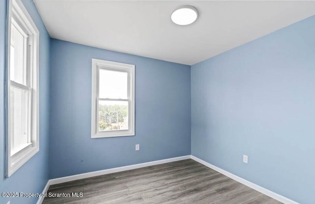 empty room featuring wood-type flooring