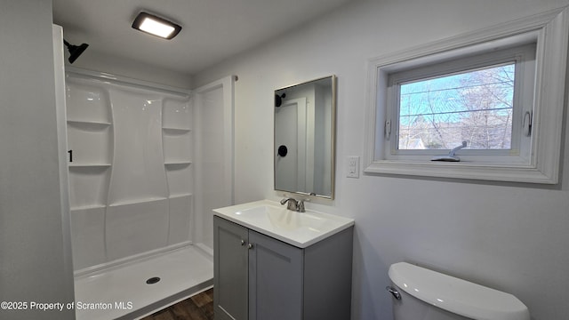 bathroom featuring toilet, a shower stall, and vanity