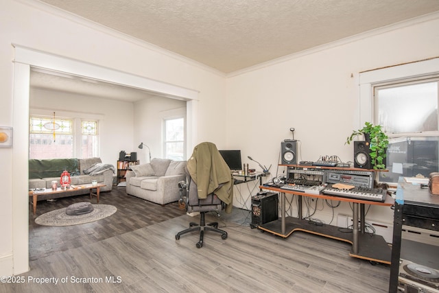 office space featuring hardwood / wood-style flooring, ornamental molding, and a textured ceiling