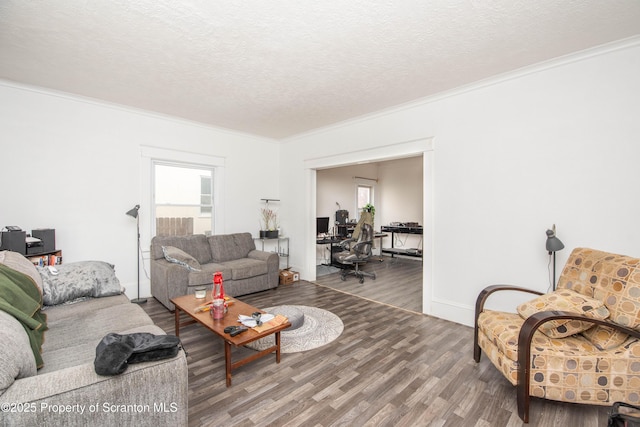 living room featuring wood-type flooring, ornamental molding, a healthy amount of sunlight, and a textured ceiling