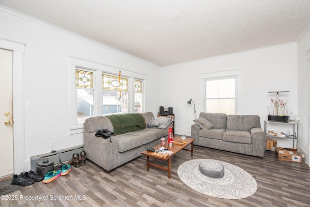 living room with crown molding, hardwood / wood-style floors, a textured ceiling, and a baseboard heating unit