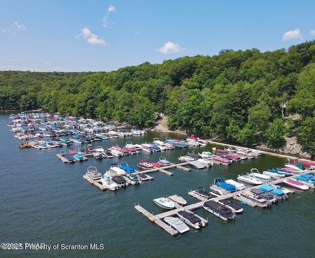 1143 Wallenpaupack Dr, Lake Ariel, PA 18436 - photo 18
