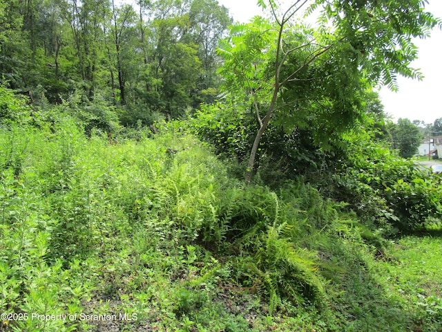 351 Prospect St, Susquehanna, PA 18847 - photo 4