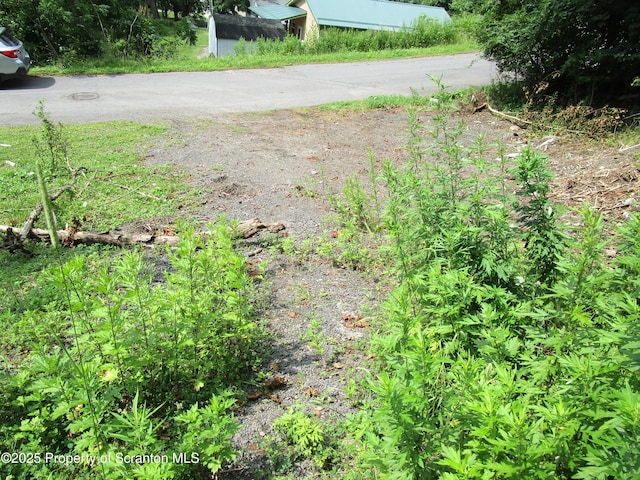 351 Prospect St, Susquehanna, PA 18847 - photo 8