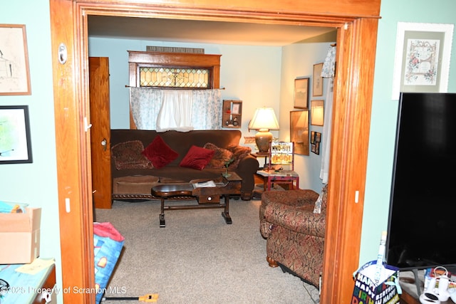 living area with carpet