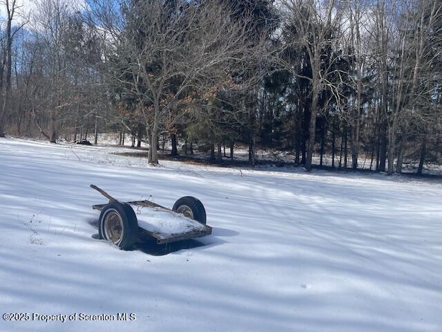 view of yard layered in snow