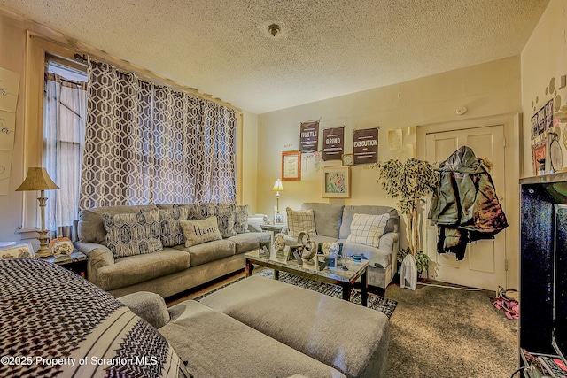 167 S Hyde Park Ave, Scranton, PA 18504 - living area with a textured ceiling and carpet floors