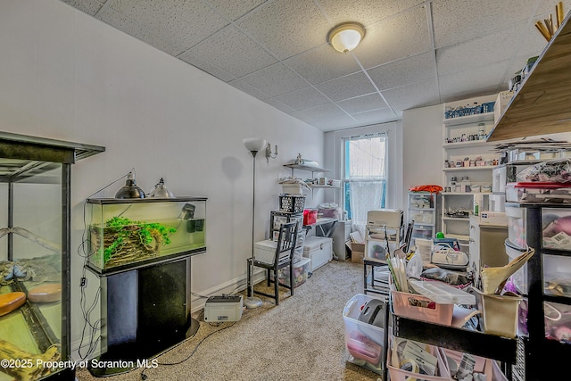167 S Hyde Park Ave, Scranton, PA 18504 - office area with carpet and a drop ceiling
