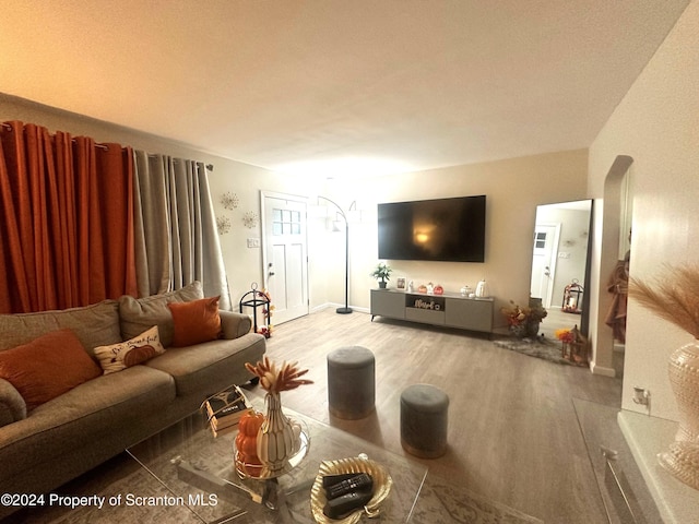 living room featuring wood-type flooring