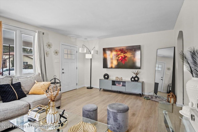 living room featuring wood-type flooring