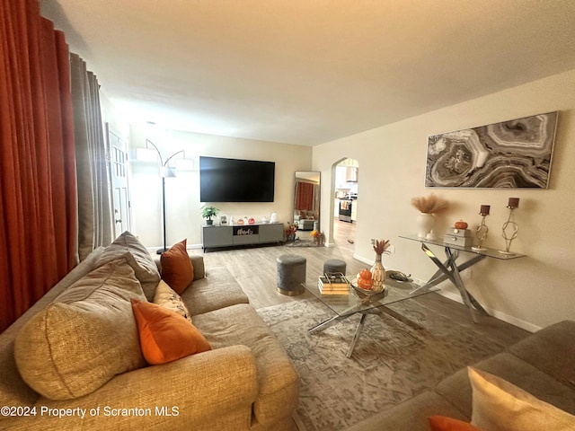 living room with hardwood / wood-style flooring