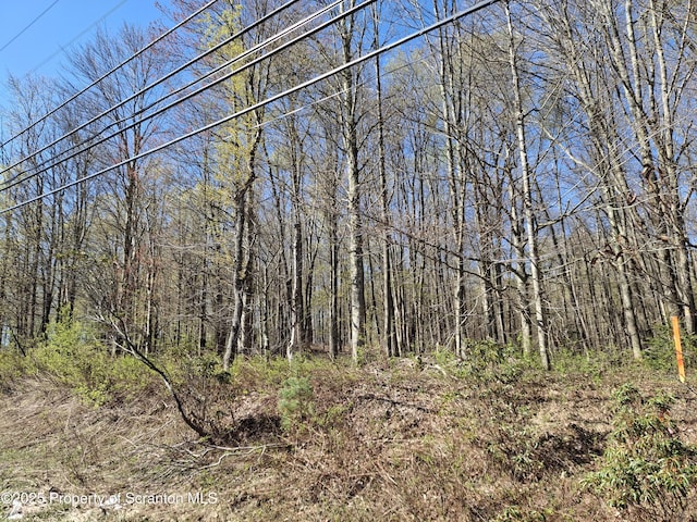 LOT4 State Route 435, Covington Twp, PA 18444