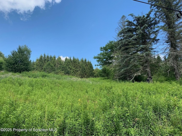 1855 Ararat Rd, Thompson, PA 18465 - photo 1
