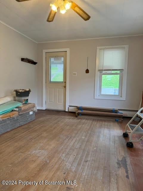 interior space featuring wood-type flooring, plenty of natural light, and ceiling fan