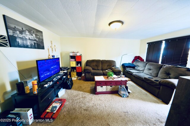 view of carpeted living area