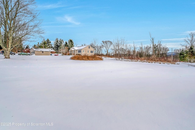 view of yard covered in snow