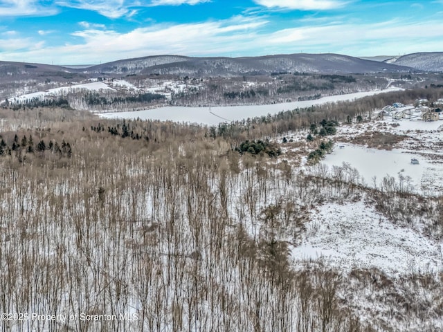 property view of mountains