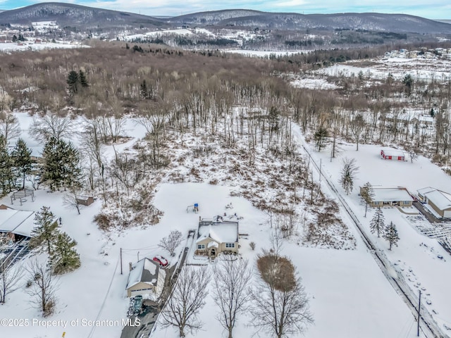 snowy aerial view with a mountain view