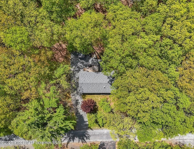 1029 Bear Trail Rd, Lake Ariel, PA 18436 - view from above of property
