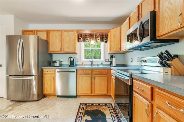 1029 Bear Trail Rd, Lake Ariel, PA 18436 - kitchen with appliances with stainless steel finishes and a sink
