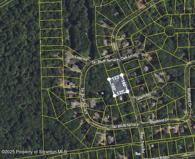 1029 Bear Trail Rd, Lake Ariel, PA 18436 - map of property location with property boundaries highlighted