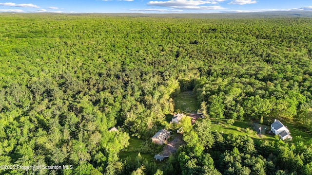 87 Old Farm Ln, White Haven, PA 18661 - aerial view of property's location with a forest
