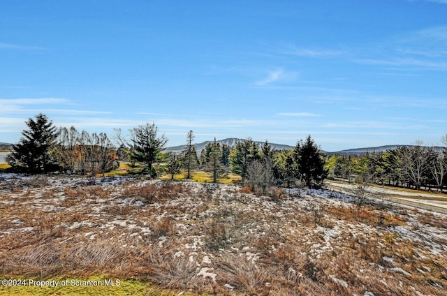 view of local wilderness with a mountain view