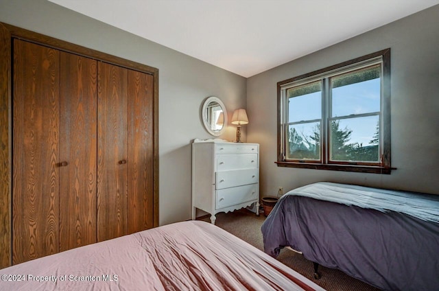 bedroom with carpet flooring and a closet