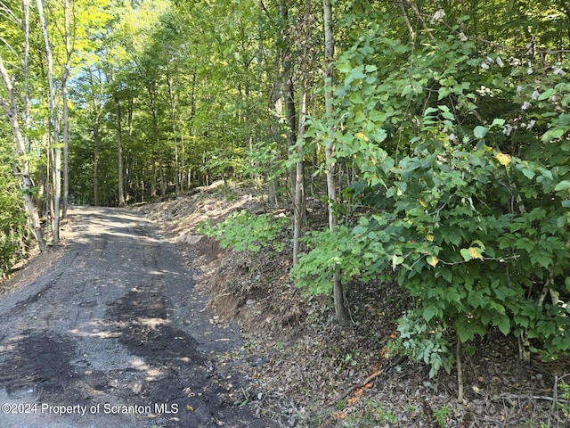 L87 Eastwoods, Tunkhannock PA, 18657 land for sale