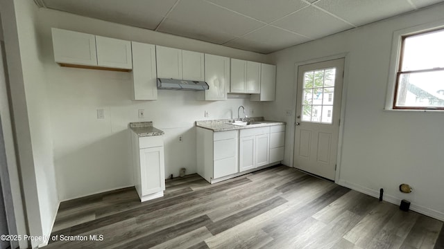 1211 Jackson St 1209-, Scranton, PA 18504 - kitchen with under cabinet range hood, a drop ceiling, wood finished floors, light countertops, and white cabinets