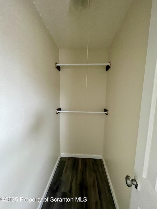 1211 Jackson St 1209-, Scranton, PA 18504 - spacious closet featuring attic access and dark wood-type flooring