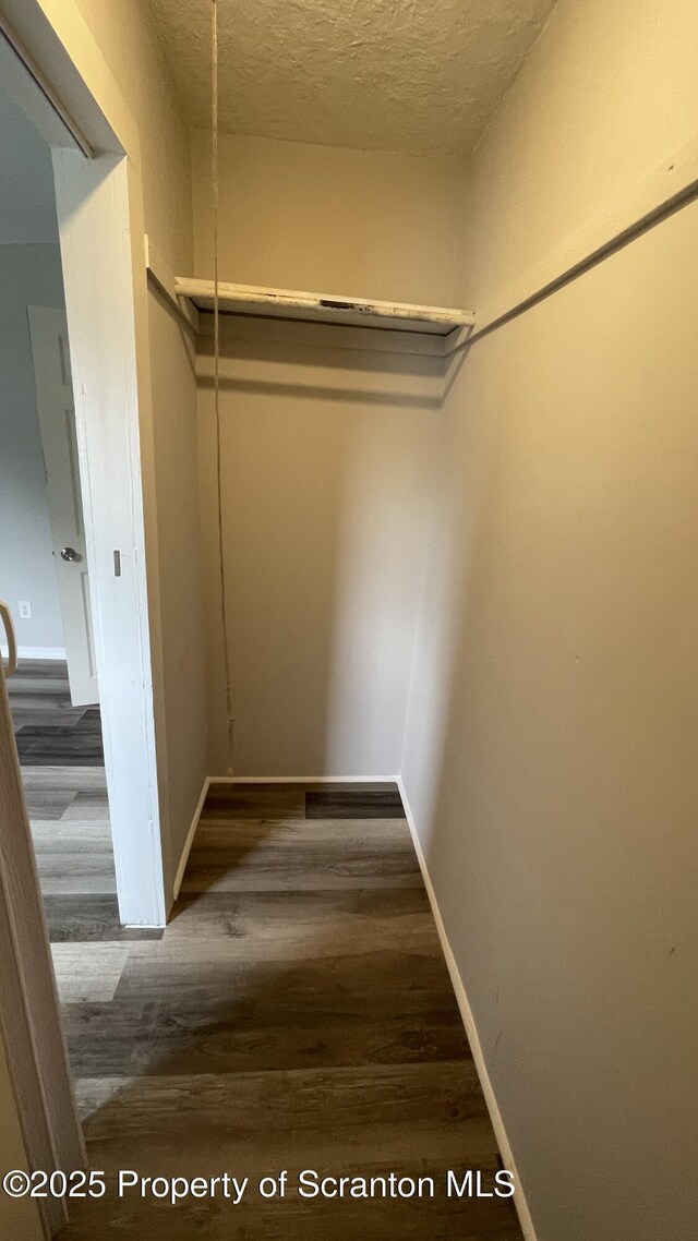 1211 Jackson St 1209-, Scranton, PA 18504 - walk in closet with wood finished floors
