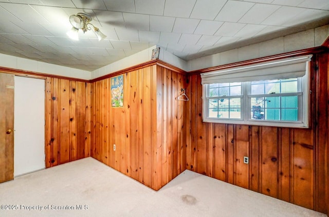 interior space with wooden walls