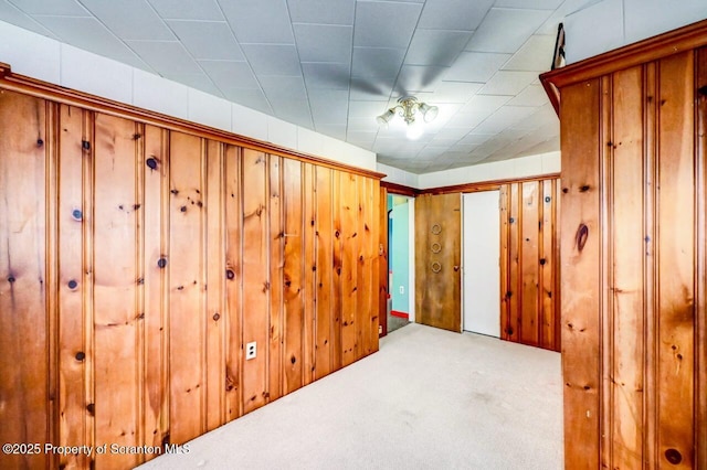 interior space featuring wooden walls and carpet flooring