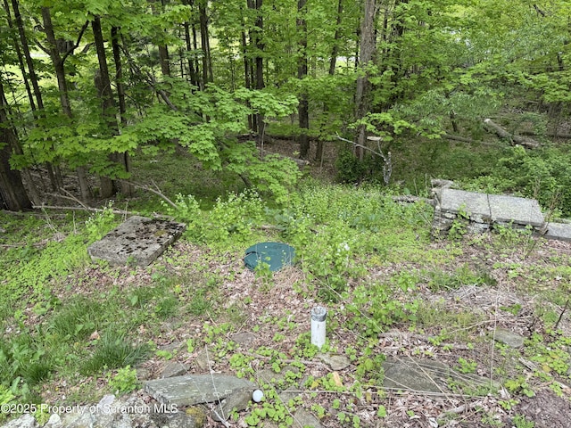 15927 Rt 407, Dalton, PA 18414 - photo 27