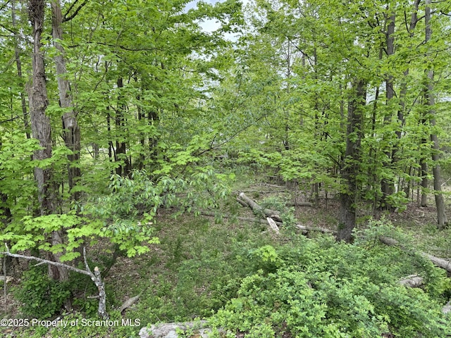 15927 Rt 407, Dalton, PA 18414 - photo 29
