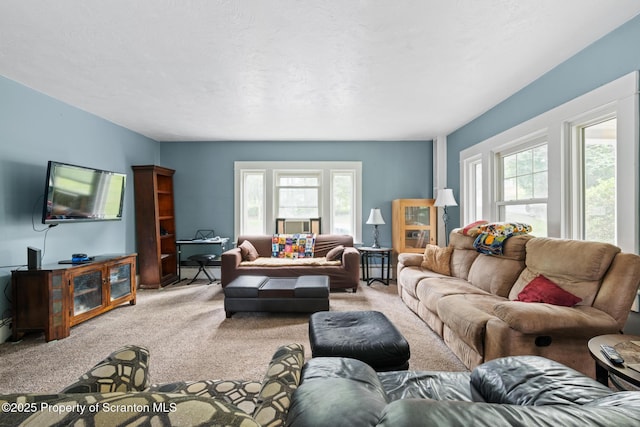 429 Clark Ave, Clarks Summit, PA 18411 - photo 21