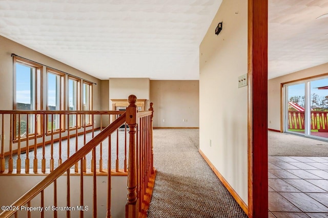 hallway featuring plenty of natural light and carpet floors