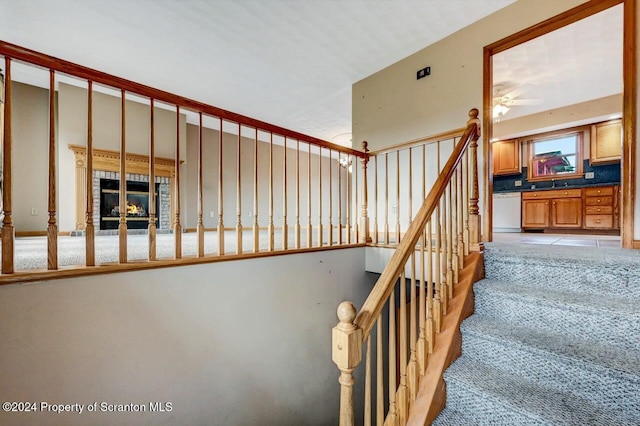 staircase featuring carpet floors and ceiling fan