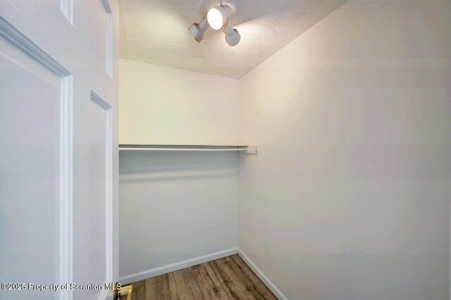 55 Deer Run, Moscow, PA 18444 - photo 29