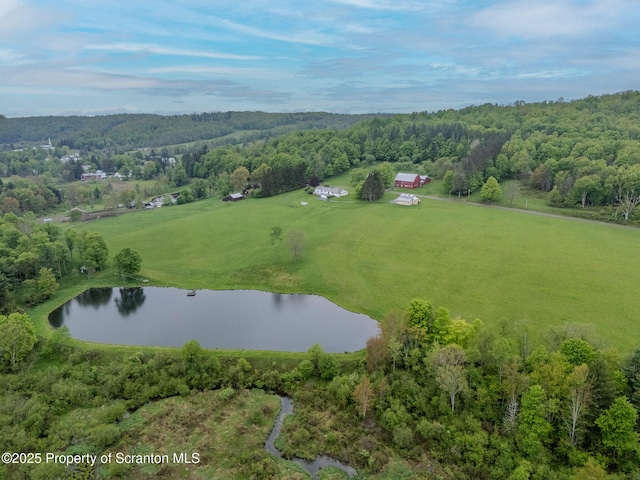 474 Tingley Lake Rd, New Milford, PA 18834 - view of property location with a nearby body of water and a heavily wooded area
