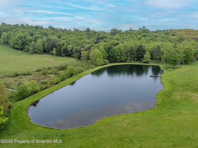 474 Tingley Lake Rd, New Milford, PA 18834 - bird's eye view of a nearby body of water and a heavily wooded area