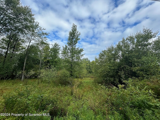 Gravel Pond Rd, Glenburn Twp PA, 18411 land for sale