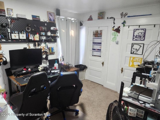 office featuring carpet floors