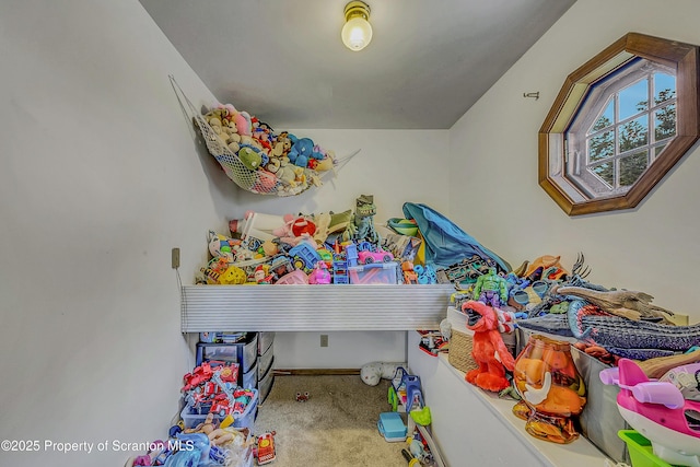 119121 Fern Way S, Abington Twp, PA 18411 - laundry area with carpet and baseboards