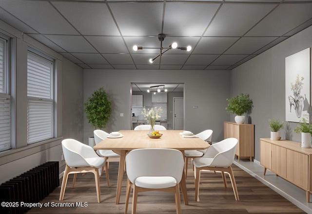 dining space with radiator, a paneled ceiling, a notable chandelier, and wood finished floors