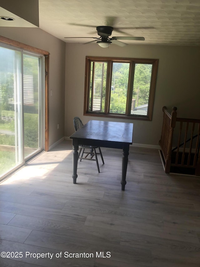 208 S Turnpike Rd, Dalton, PA 18414 - photo 6