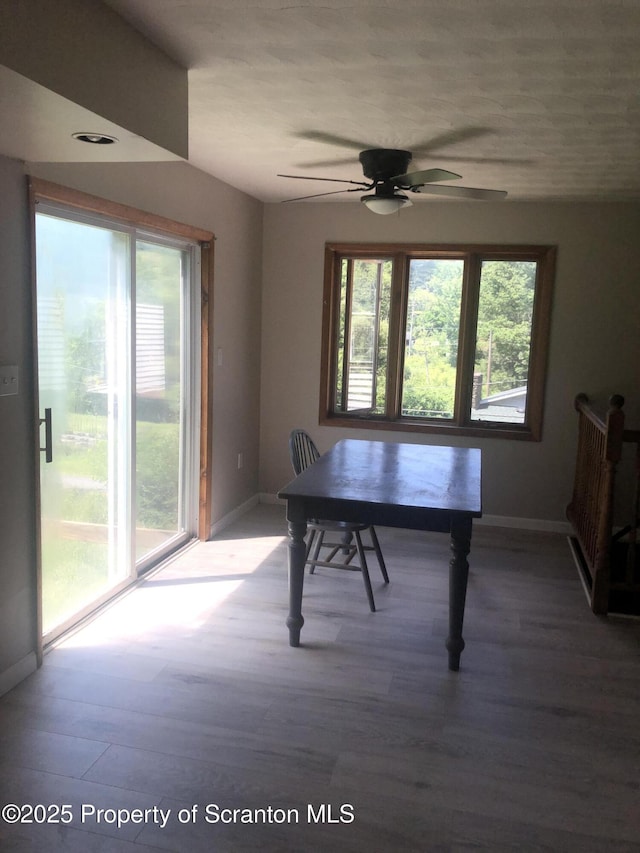 208 S Turnpike Rd, Dalton, PA 18414 - photo 21